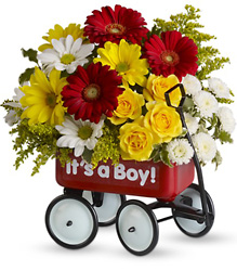 Baby's Wow Wagon by Teleflora from Nate's Flowers in Casper, WY